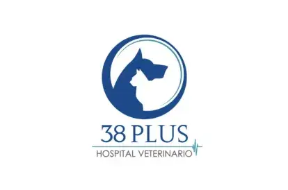 Clínica veterinaria la 38