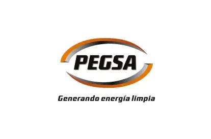 Pegsa Ltda