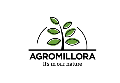 Agromillora