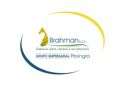 Brahman